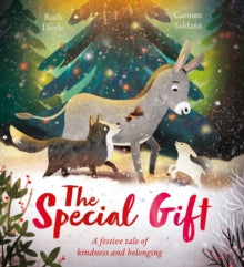 The Special Gift : A beautiful festive story to share at Christmastime by Ruth Doyle