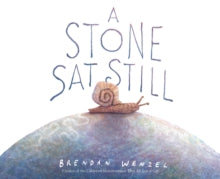 A Stone Sat Still by:Brendan Wenzel