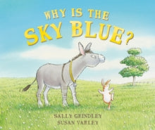 Why Is The Sky Blue? by Sally Grindley