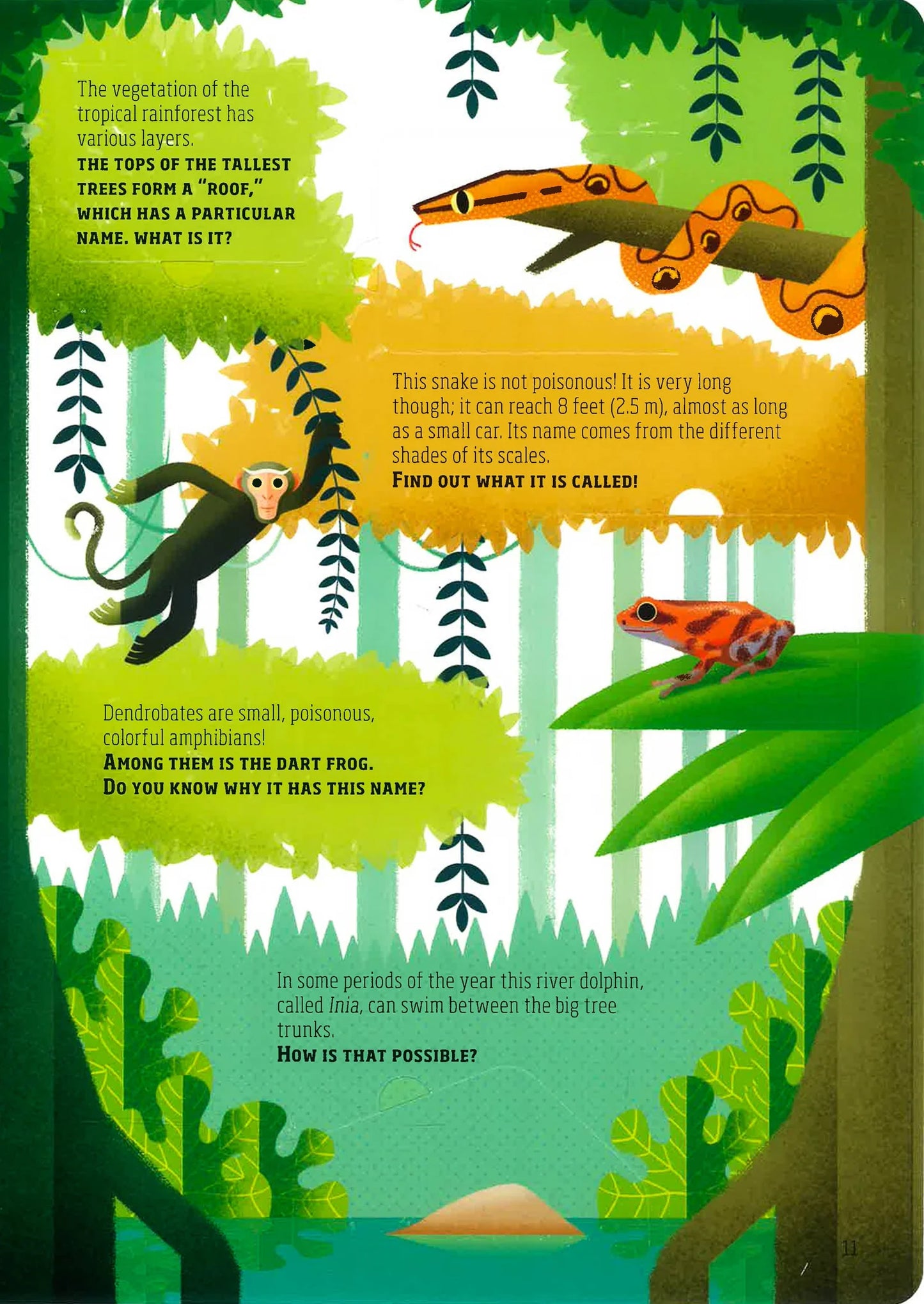 Lift The Flap: Discover The Wonders Of Our Planet (hardback)