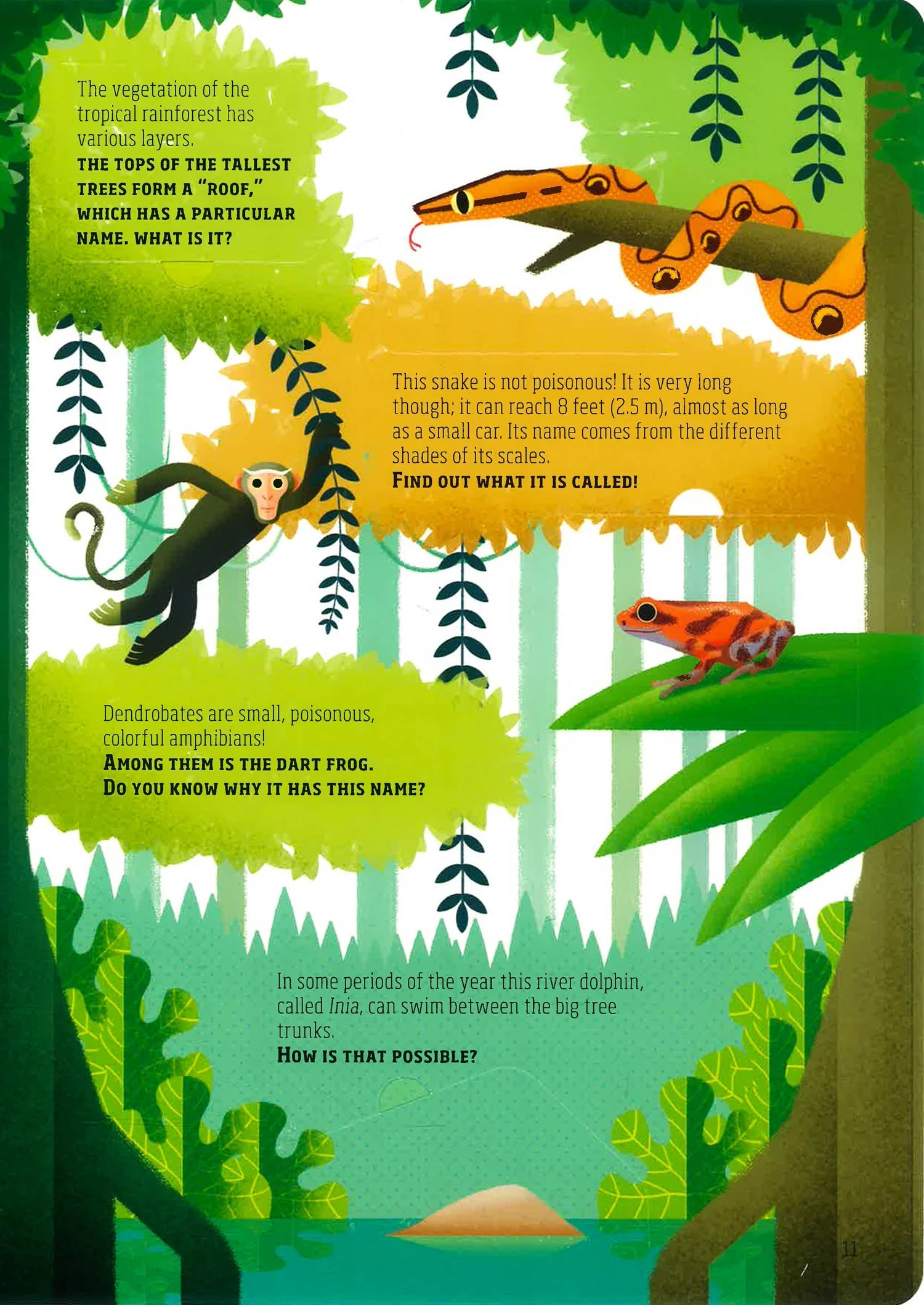 Lift The Flap: Discover The Wonders Of Our Planet (hardback)