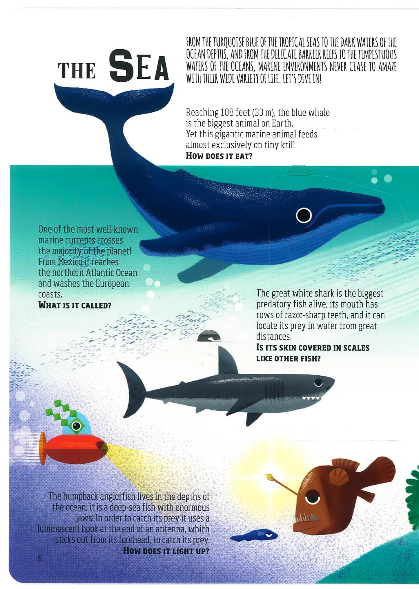 Lift The Flap: Discover The Wonders Of Our Planet (hardback)