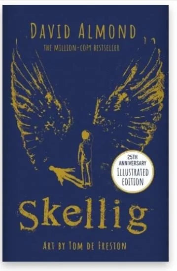 Skellig by David Almond