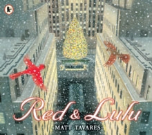 Red and Lulu by Matt Tavares (Author)