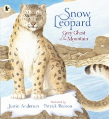 Snow Leopard: Grey Ghost of the Mountain by Justin Anderson (Author)