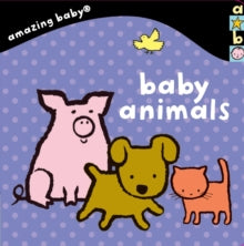 Baby Animals : Amazing Baby by Emma Dodd