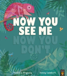 Now You See Me, Now You Don't by Patricia Hegarty