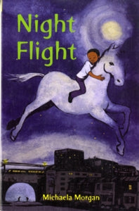 Night Flight by Michaela Morgan (Author)