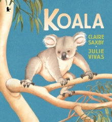 Koala by Claire Saxby (Author)