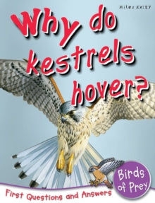 Why do Kestrels Hover? by Claybourne Anne