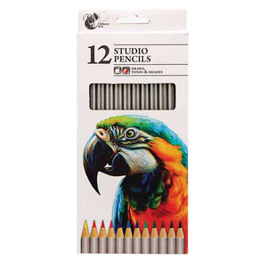 Studio Colouring Pencils (12)